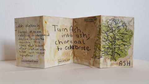 Paper image of a green hand drawn ash tree and some handwritten poetry
