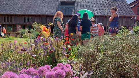 Picture of families in the garden at Crickelpit in the sunshine with wild flowers blooming in the garden