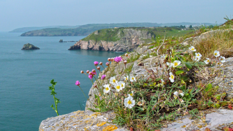 Photo of Berry Head