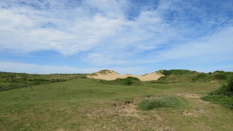 grassy, hilly, sand dunes with blue sky above