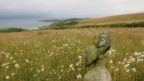 An owl statue nestled in a field blooming with white flowers and the coastline in the background