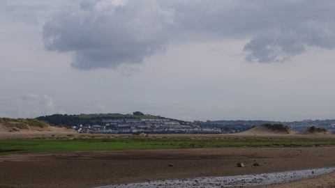 A beach with dunes in the background