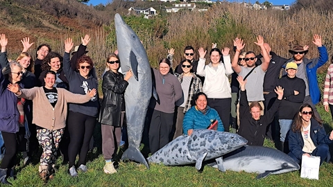 Photo of marine strandings volunteer training day