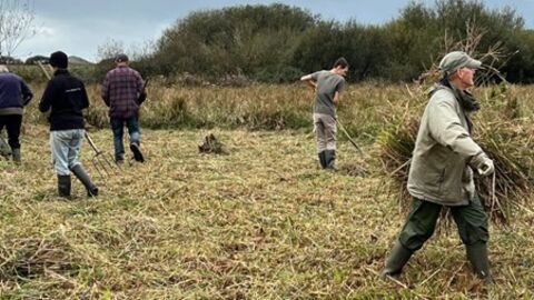 a group of volunteers clearing a field