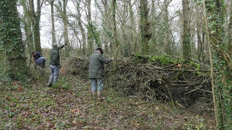 team of volunteers adding to a dead hedge