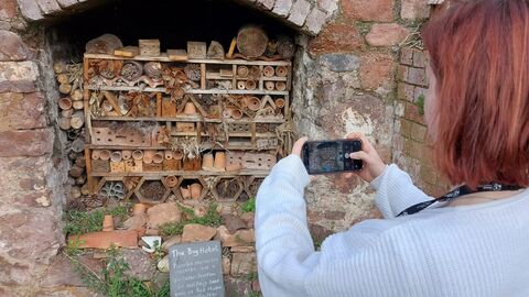 Person taking a photo of a bug hotel