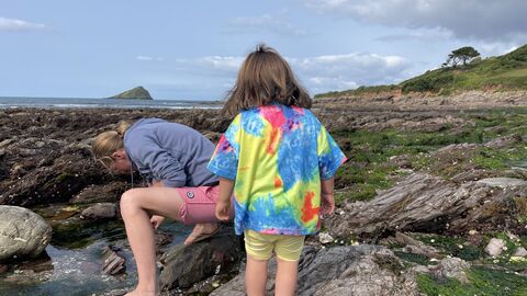 Toddler rockpooling with a parent