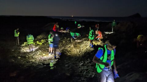night-time rockpool safari at WMC