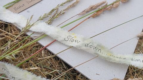 paper on the grass with vegetation on it and ribbon with calming statements such as "slow down"