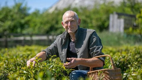 John Walters squatting in the tea plantation with a basket to hold his harvest
