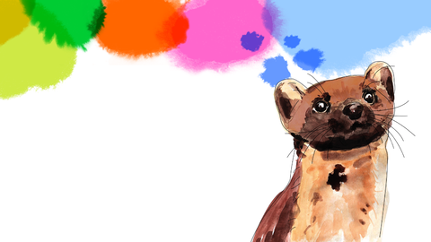 Graphic of a pine marten surrounded by coloured blobs