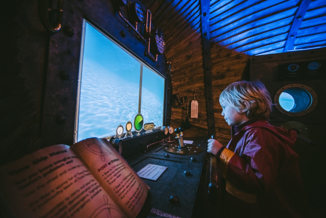 Seaton Jurassic Devon Wildlife Trust