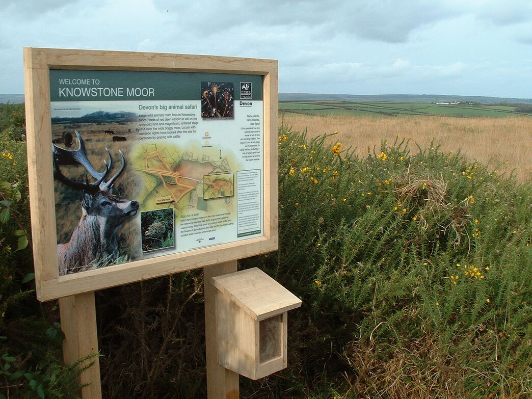 Rackenford and Knowstone Moors | Devon Wildlife Trust