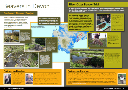 A summary of initial findings from the Devon Beaver Projects screen shot