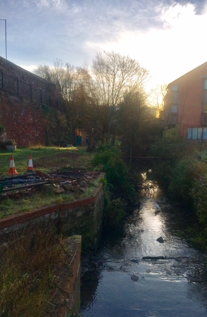 Cricklepit Mill leat at sunrise
