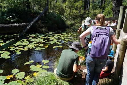 Bystock Discovery Day 