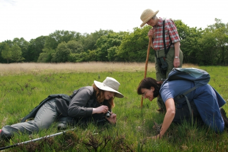 People surveying at Dunsdon nature reserves