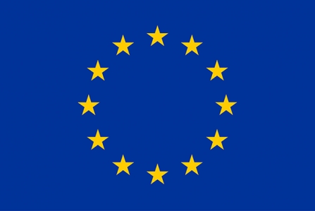 EU flag