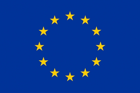 EU flag