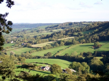 East Devon landscape