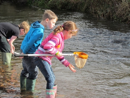 Children stream dipping