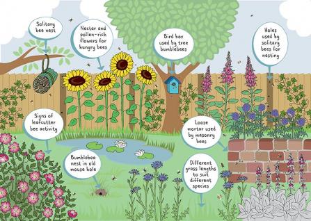 Wildlife garden illustration