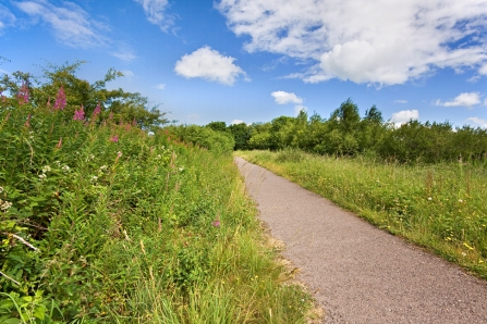 Concrete path through Halwill Junction nature reserve