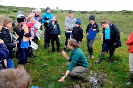 School fieldtrip to a bog