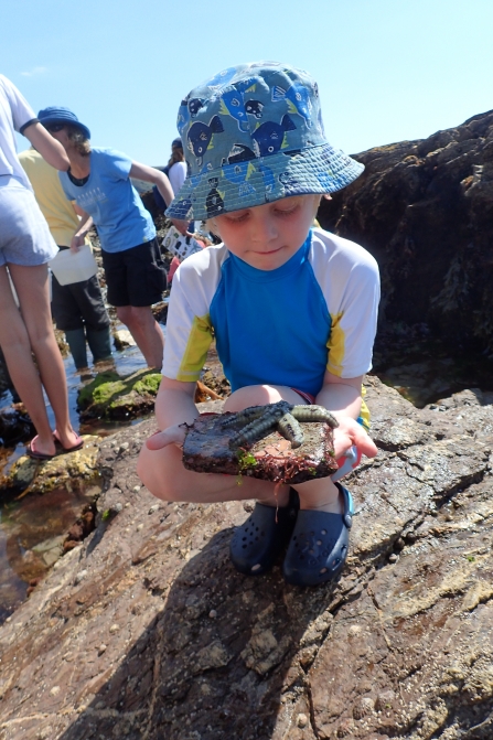 Boy and a spiny starfish at Wembury