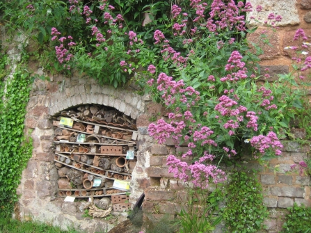 Cricklepit bug hotel and garden