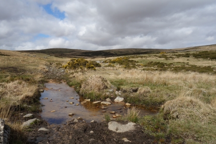 Stream at Postbridge on Dartmoor