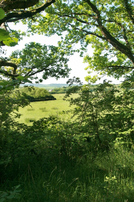 View from Halwill Junction over fields