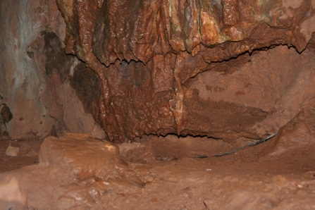 Caves at Higher Kiln Quarry nature reserve