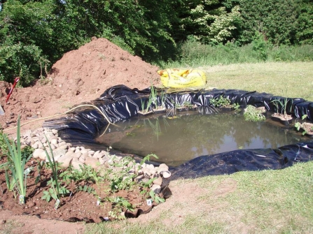 Making a pond