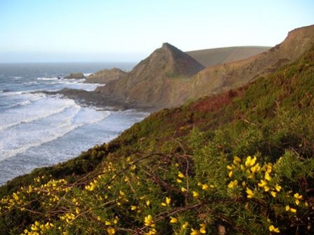 Looking out to sea from St Catherine's Tor, Hartland