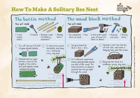 How to make a solitary bee nest activity sheet