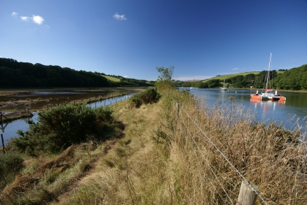 Boat at South Efford Marsh