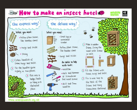 Make an insect hotel activity sheet