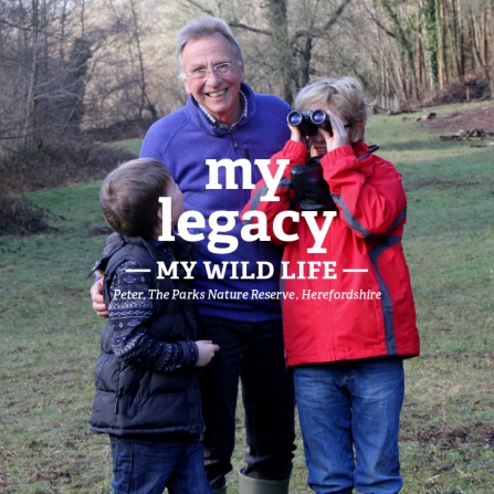 My Wild Life Peter and grandsons