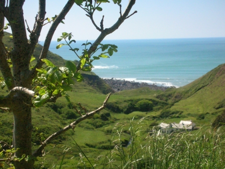 Looking down onto Marsland Mouth