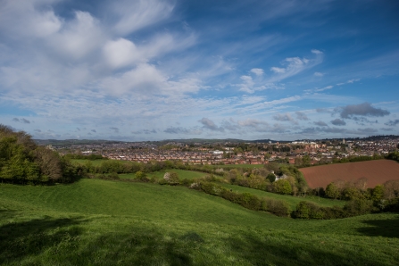 Ludwell Valley Park, Exeter