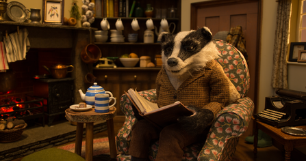Wilder Future: a badger's view | Devon Wildlife Trust