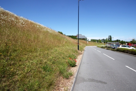 Roadside verge at supermarket