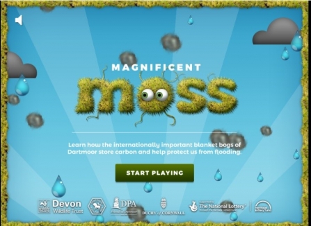 Magnificent Moss