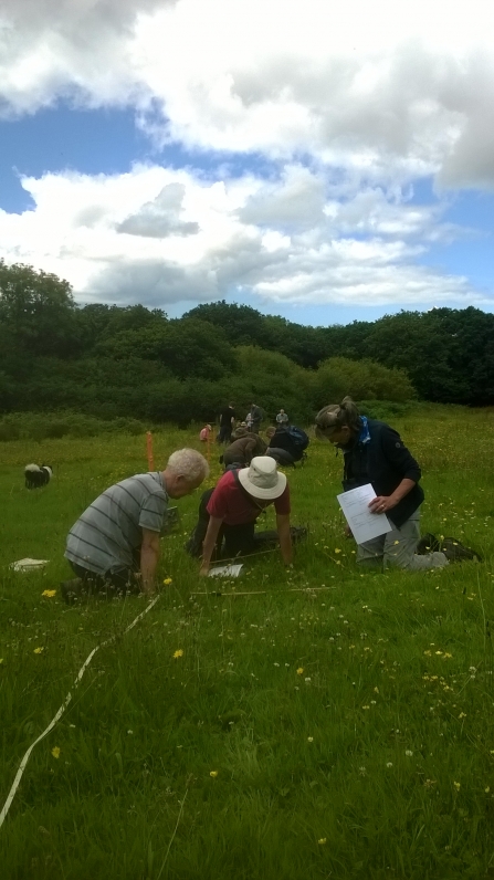 Surveying at Andrew's Wood