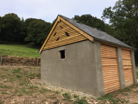 New bat roost in East Devon