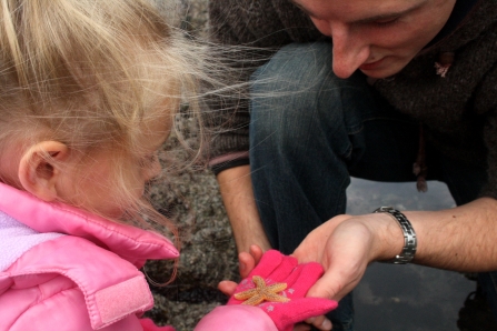 Child and man rockpooling