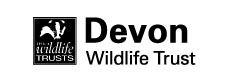 DWT logo