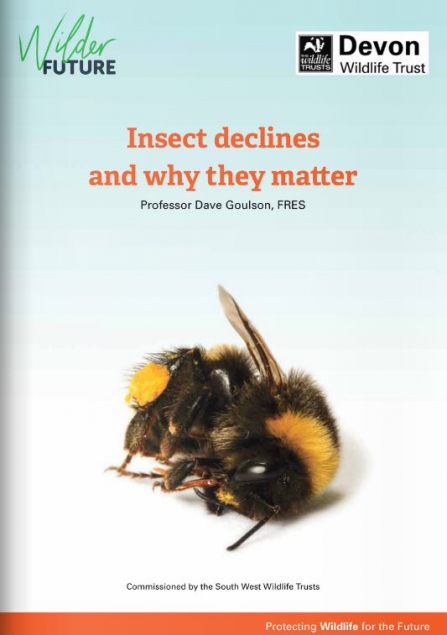 Insect declines and why they matter