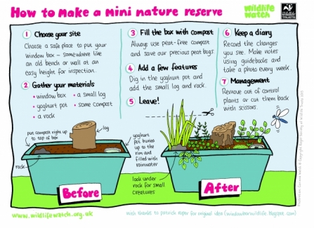 mini nature reserve